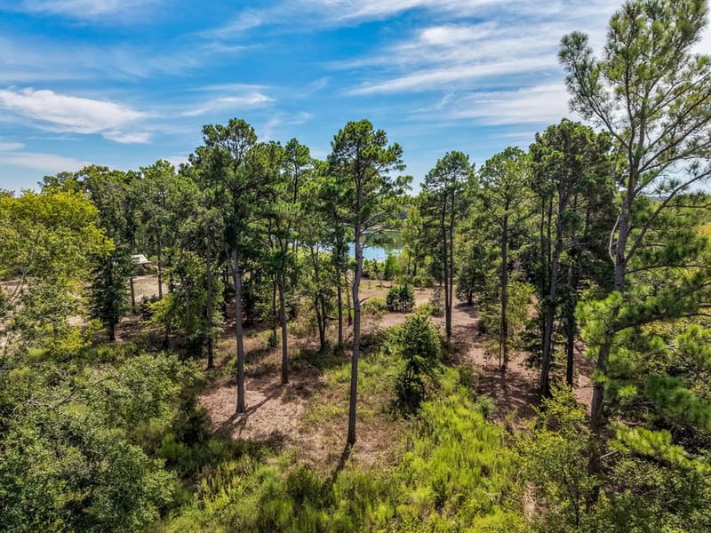 128 County Road 4849, Winnsboro TX 75494 - Photo 13