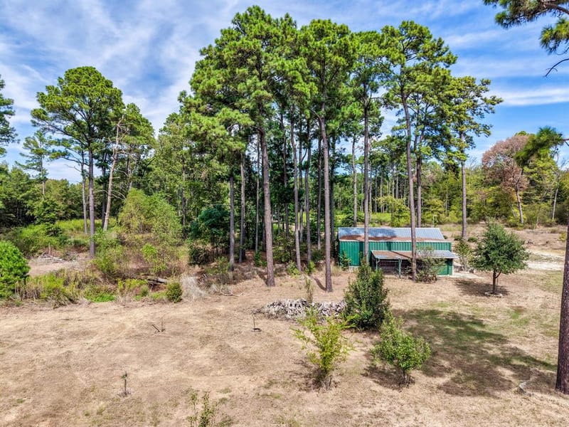 128 County Road 4849, Winnsboro TX 75494 - Photo 17