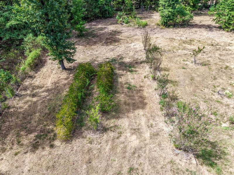 128 County Road 4849, Winnsboro TX 75494 - Photo 16
