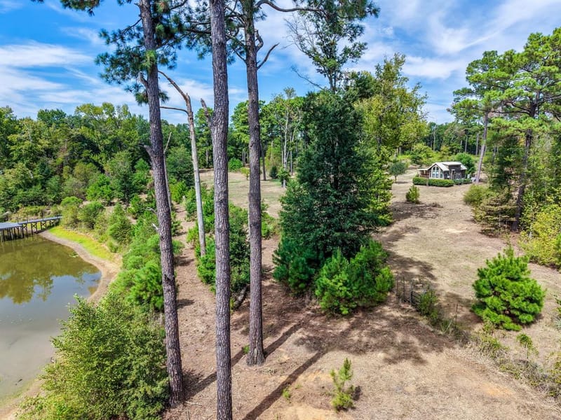 128 County Road 4849, Winnsboro TX 75494 - Photo 14