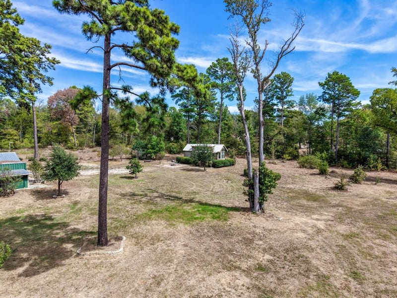 128 County Road 4849, Winnsboro TX 75494 - Photo 18