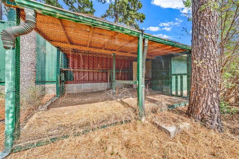128 County Road 4849, Winnsboro TX 75494 - Photo 40