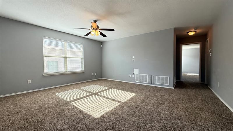 1009 Bruni Court, Aubrey TX 76227 - Photo 17