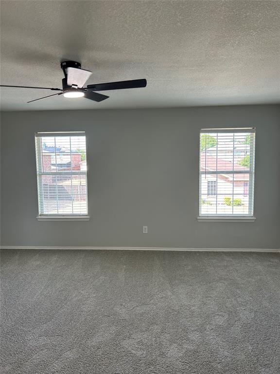 1916 Lemita Drive, Lancaster TX 75146 - Photo 10