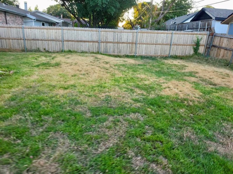 915 Lemontree Drive, Arlington TX 76017 - Photo 28