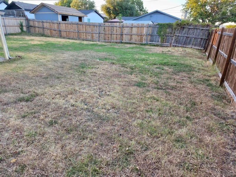 915 Lemontree Drive, Arlington TX 76017 - Photo 29