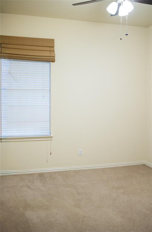 4605 Trumpet Vine, Denton TX 76208 - Photo 26
