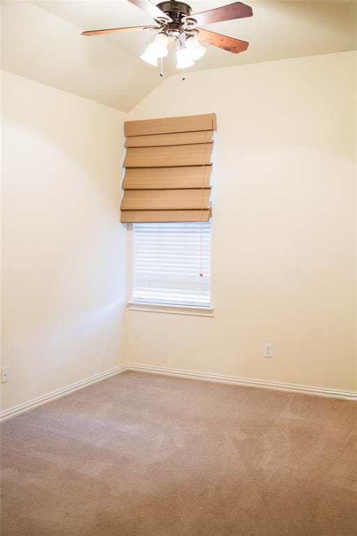 4605 Trumpet Vine, Denton TX 76208 - Photo 25