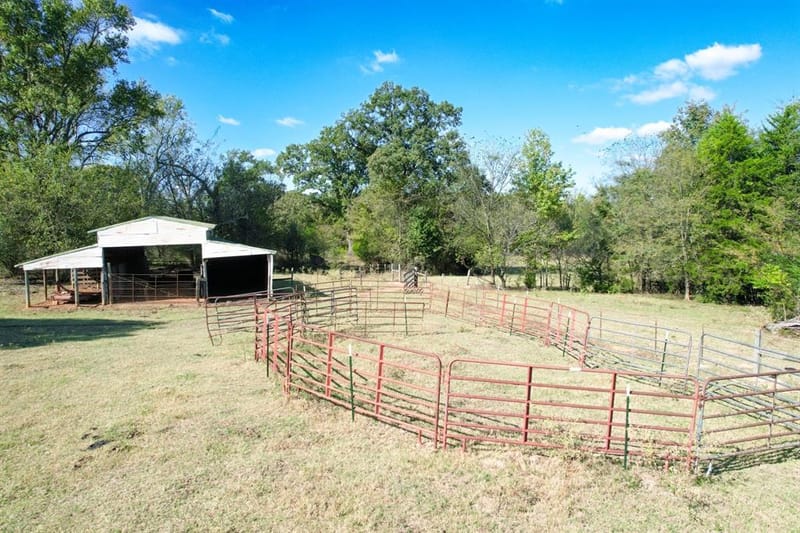 1191 County Road 4186, Quitman TX 75783 - Photo 32