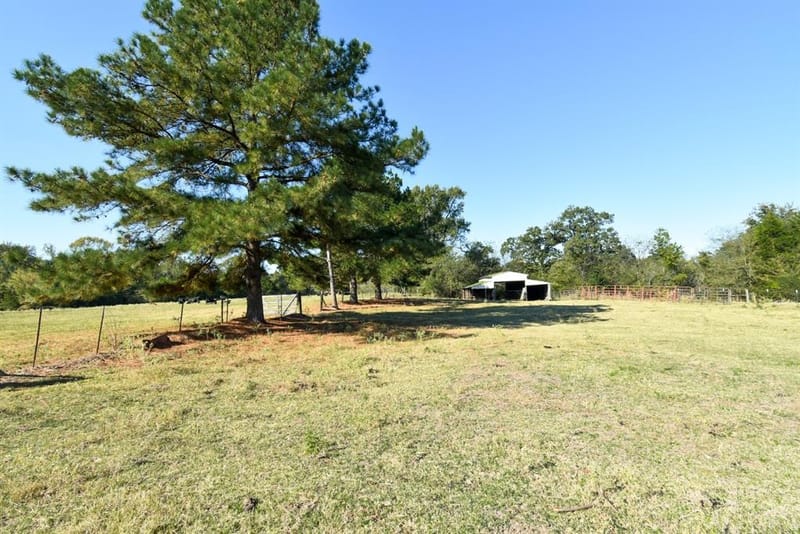 1191 County Road 4186, Quitman TX 75783 - Photo 34