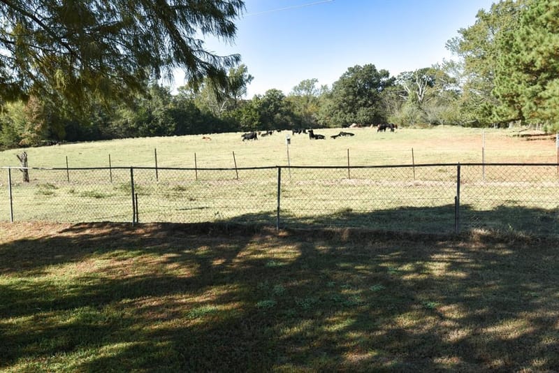 1191 County Road 4186, Quitman TX 75783 - Photo 33