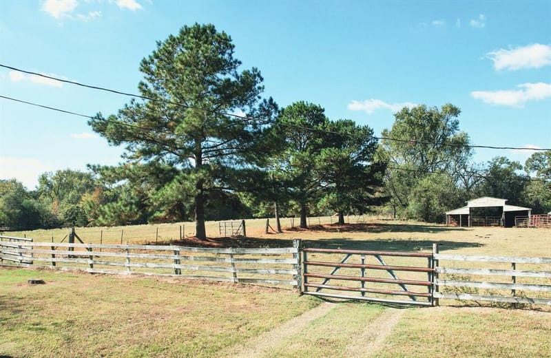 1191 County Road 4186, Quitman TX 75783 - Photo 31
