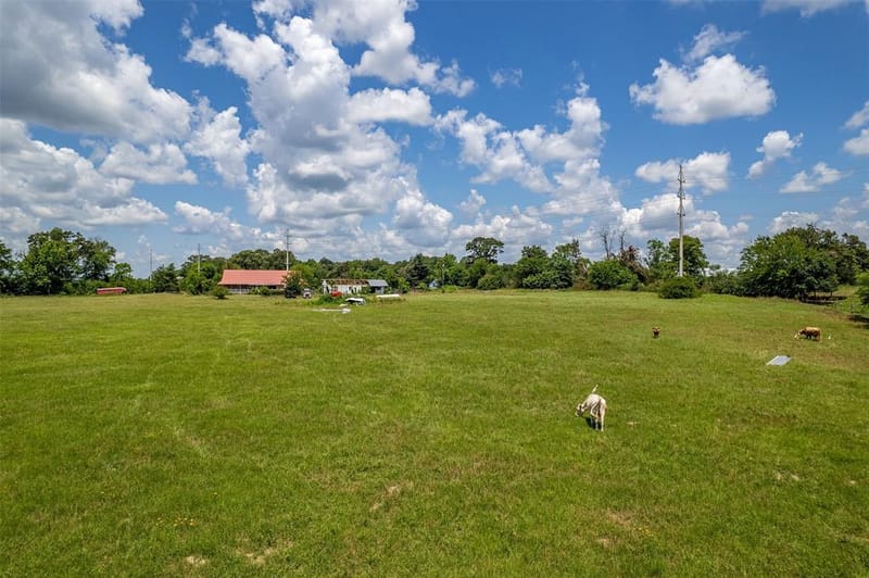 435 County Road 3204, Quitman TX 75783 - Photo 35