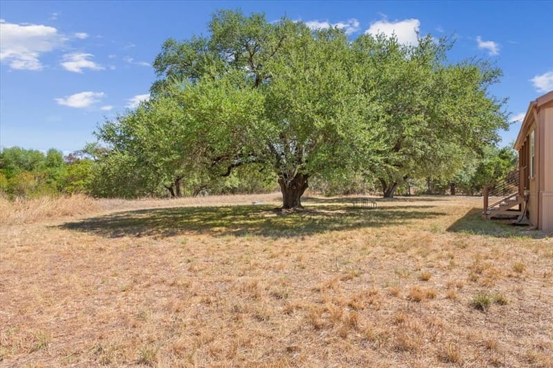 799 County Road 3160, Valley Mills TX 76689 - Photo 12