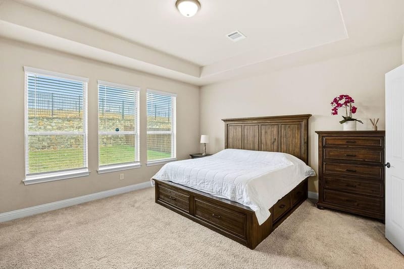 14838 Speargrass Drive, Frisco TX 75033 - Photo 18