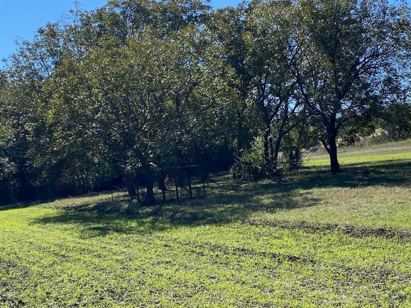 4536 County Road 132, Stephenville TX 76401 - Photo 29