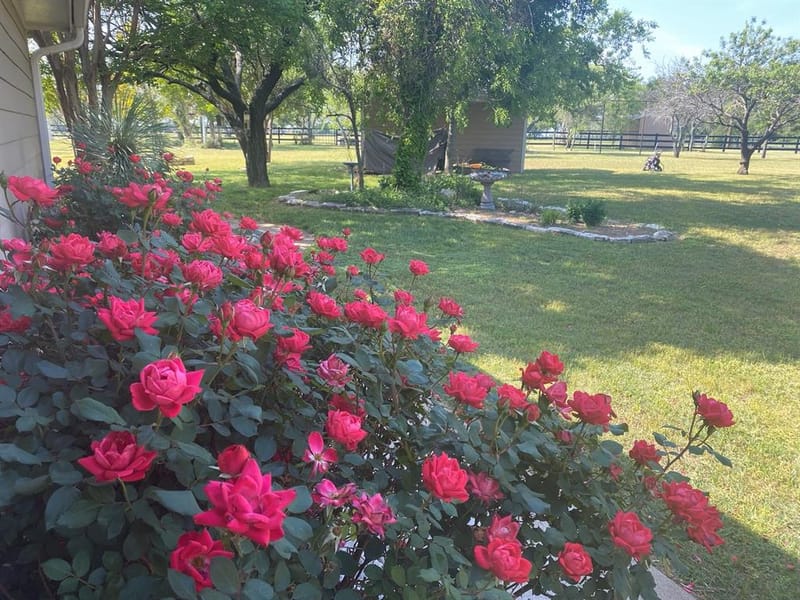 4536 County Road 132, Stephenville TX 76401 - Photo 4
