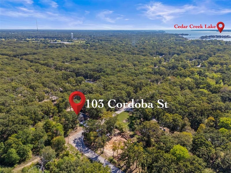 103 Cordoba Street, Payne Springs TX 75156 - Photo 4