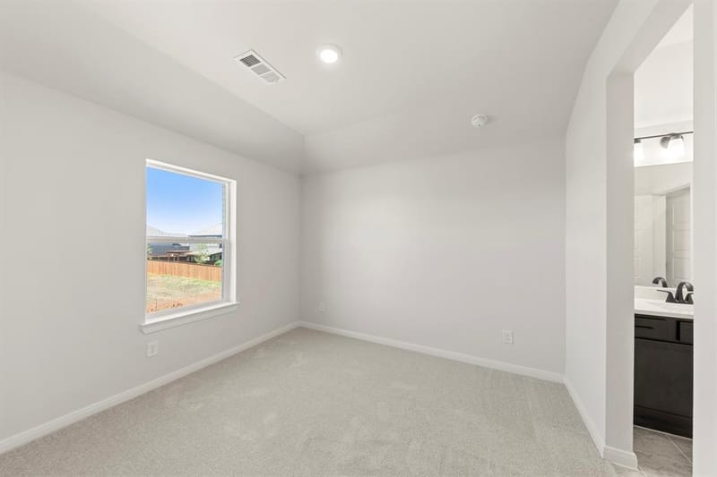 5309 Hybern Avenue, Aubrey TX 76227 - Photo 20