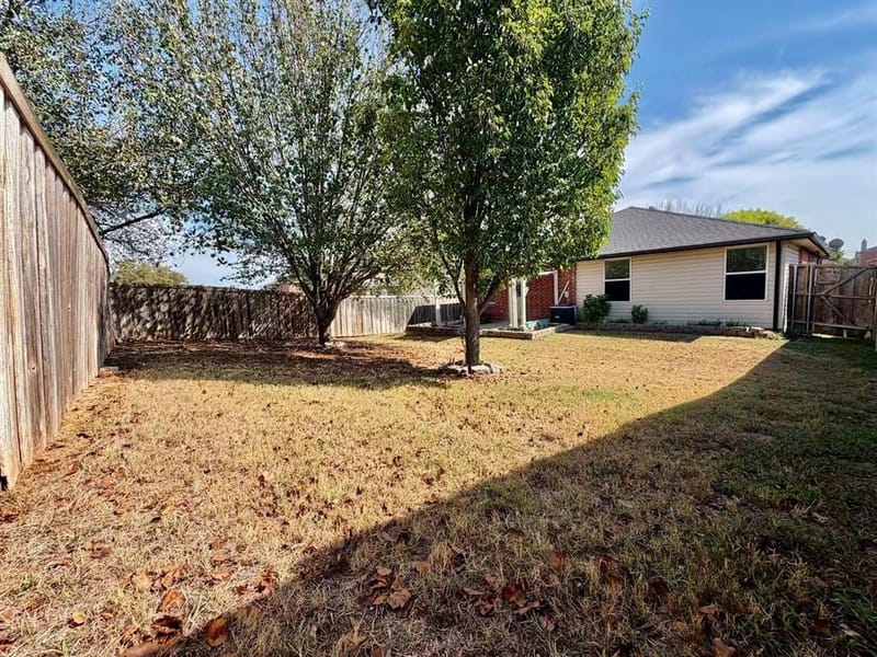 1110 Doc Holliday Drive, Anna TX 75409 - Photo 26