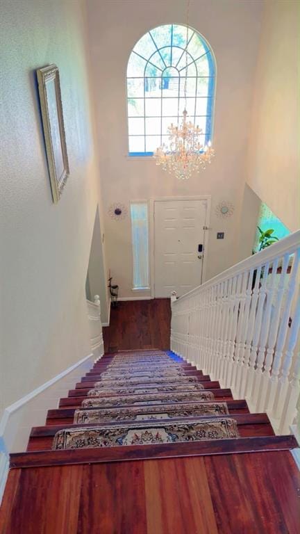 5005 Spicewood Drive, McKinney TX 75070 - Photo 36