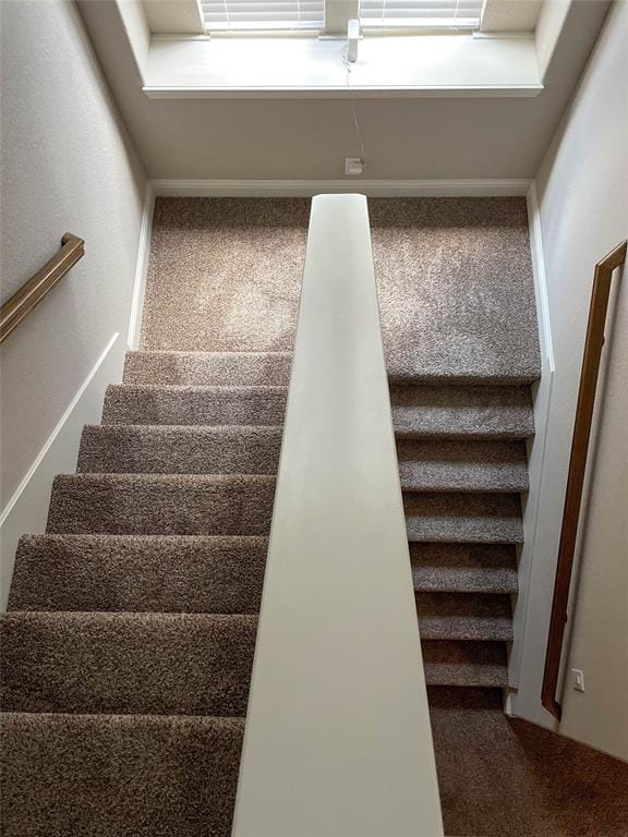 4100 Snowberry Lane, Fort Worth TX 76036 - Photo 20