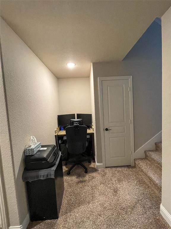 4100 Snowberry Lane, Fort Worth TX 76036 - Photo 15