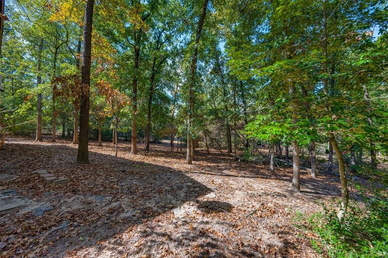 705 Wildwood Trail, Holly Lake Ranch TX 75765 - Photo 22