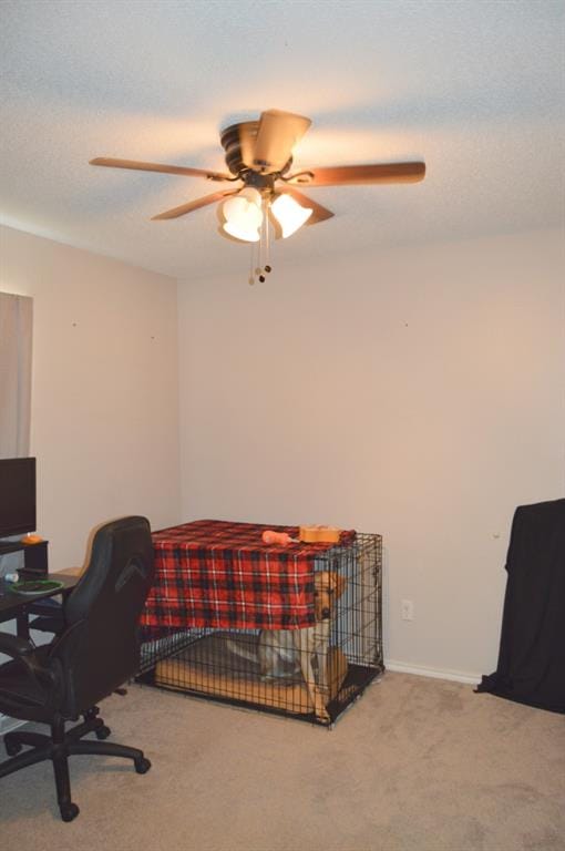 528 N 5th Street, Quinlan TX 75474 - Photo 14