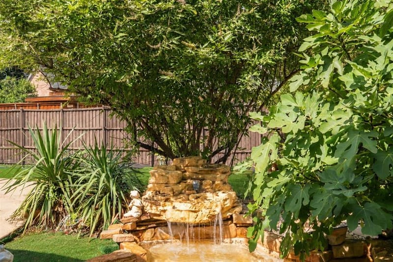 5057 Trail Lake Drive, Plano TX 75093 - Photo 34