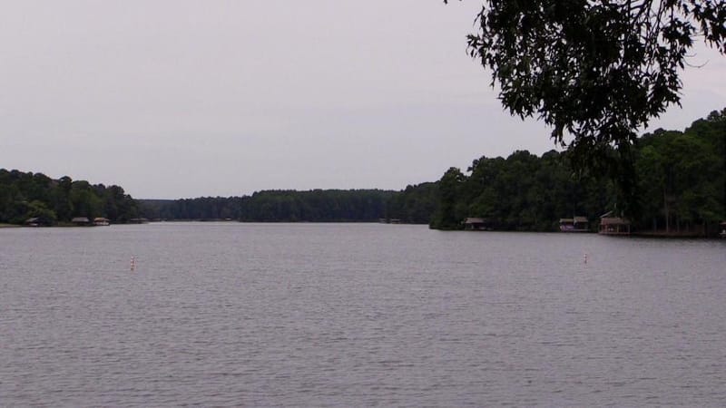 176 Woodside Lane, Holly Lake Ranch TX 75765 - Photo 23