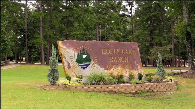 176 Woodside Lane, Holly Lake Ranch TX 75765 - Photo 22