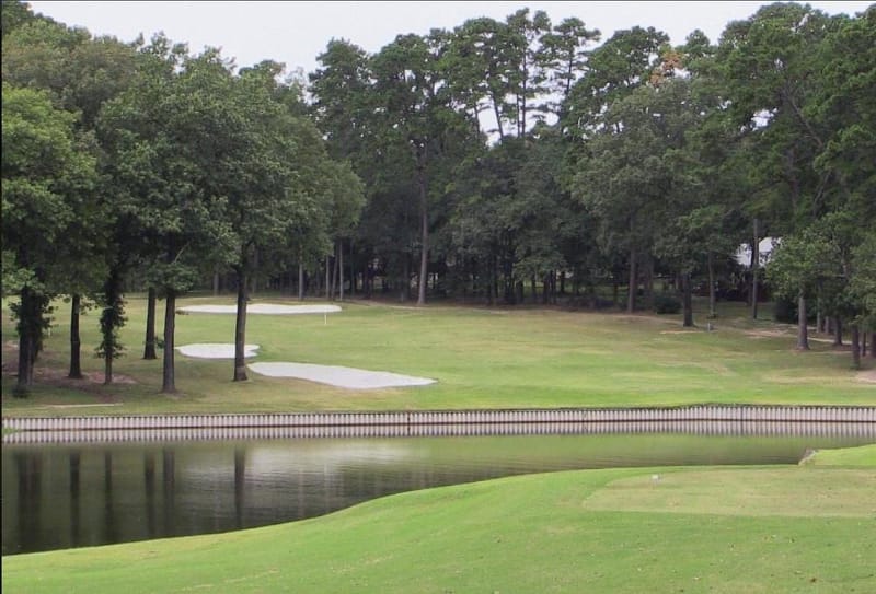 176 Woodside Lane, Holly Lake Ranch TX 75765 - Photo 24