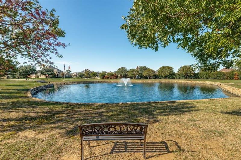 195 Las Colinas Trail, Cross Roads TX 76227 - Photo 36