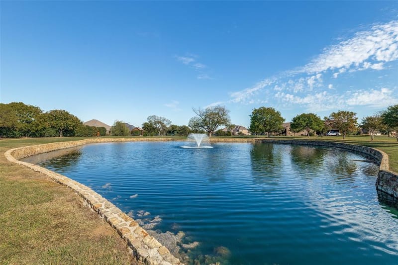 195 Las Colinas Trail, Cross Roads TX 76227 - Photo 39