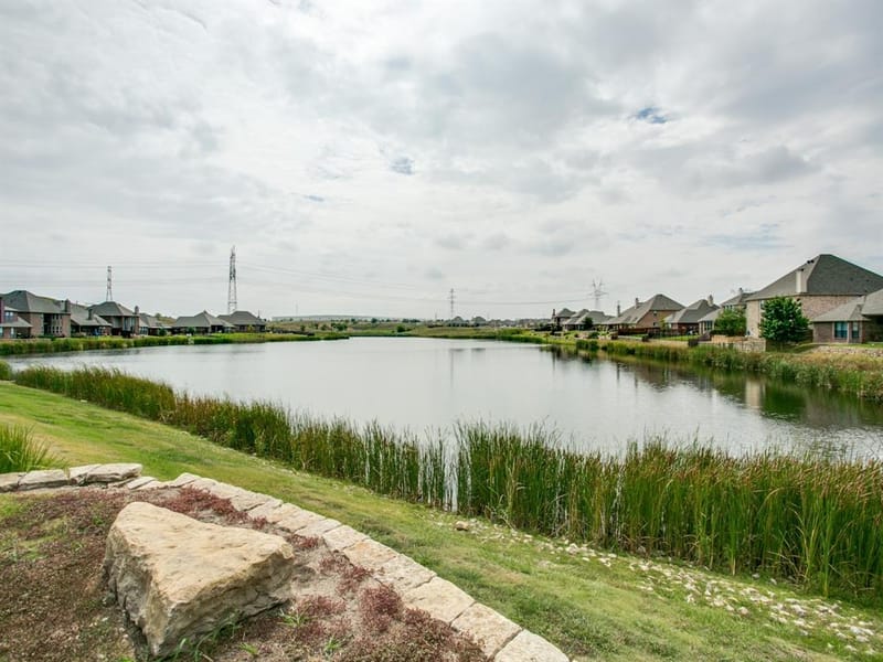 14225 Spitfire Trail, Fort Worth TX 76262 - Photo 35