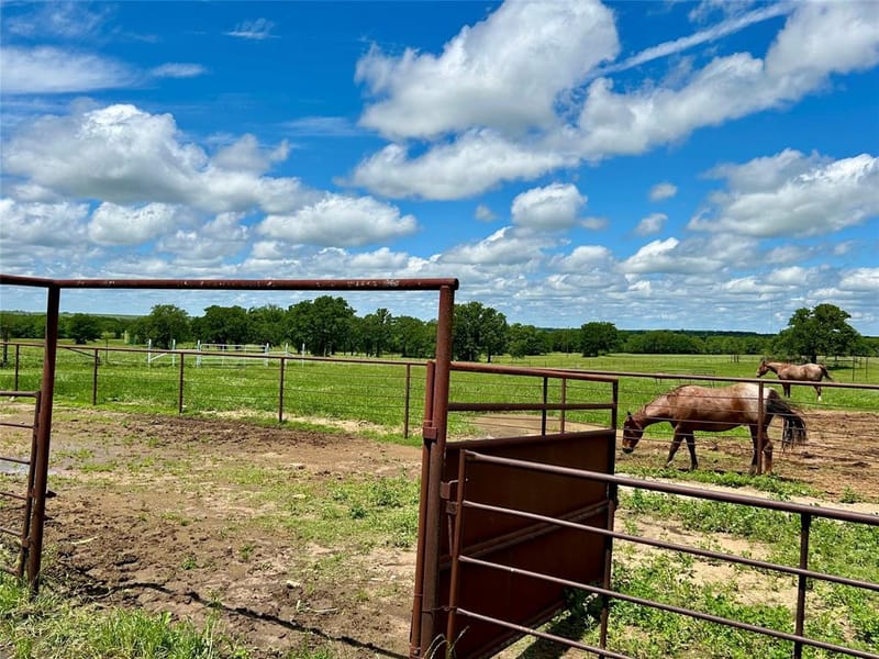 2886 TX-59 Highway S, Bowie TX 76230 - Photo 30