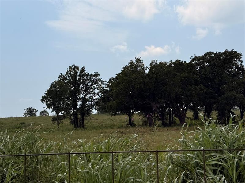 2886 TX-59 Highway S, Bowie TX 76230 - Photo 38