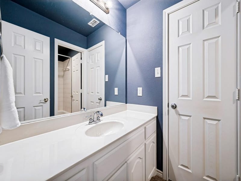 2603 Stallions Lane, Celina TX 75009 - Photo 35