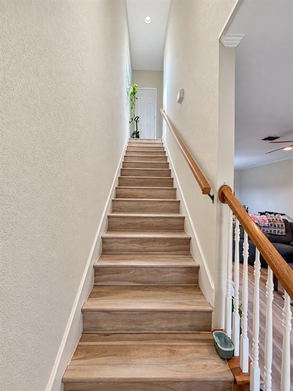 1809 S 11th Street, Waco TX 76706 - Photo 10