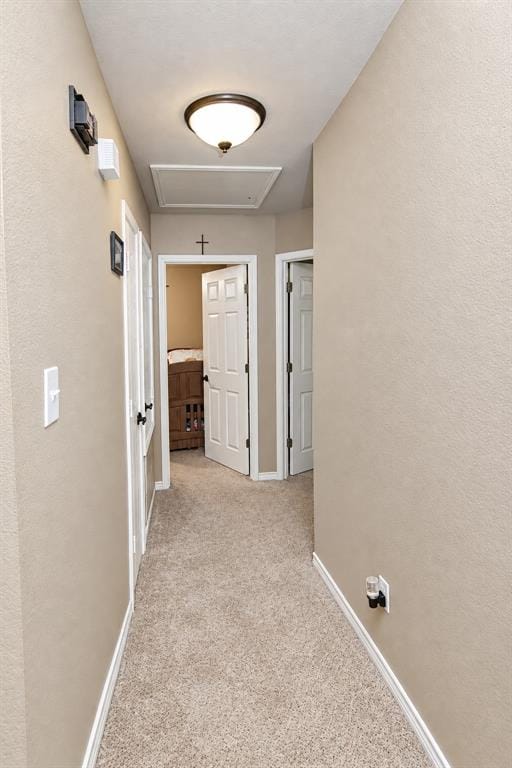 8821 Sagebrush Trail, Cross Roads TX 76227 - Photo 9