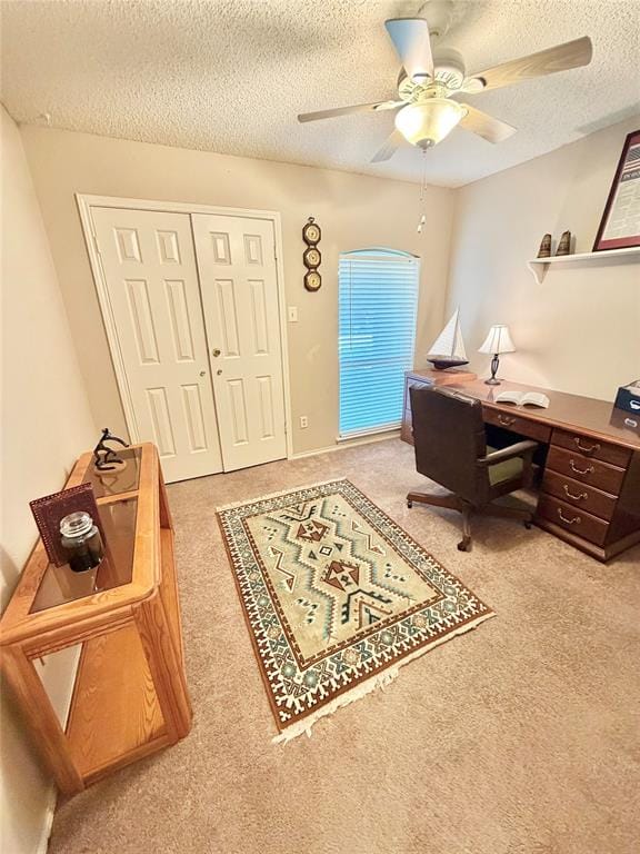 2406 Ridgeview Drive, Sachse TX 75048 - Photo 12