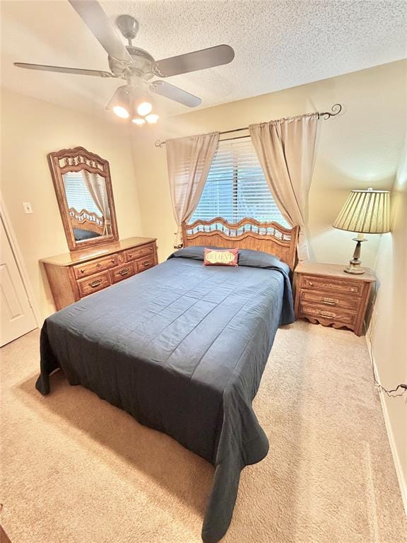 2406 Ridgeview Drive, Sachse TX 75048 - Photo 10