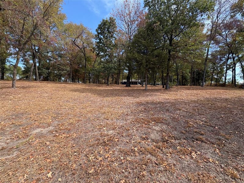 927 Indian Gap, Quitman TX 75783 - Photo 13