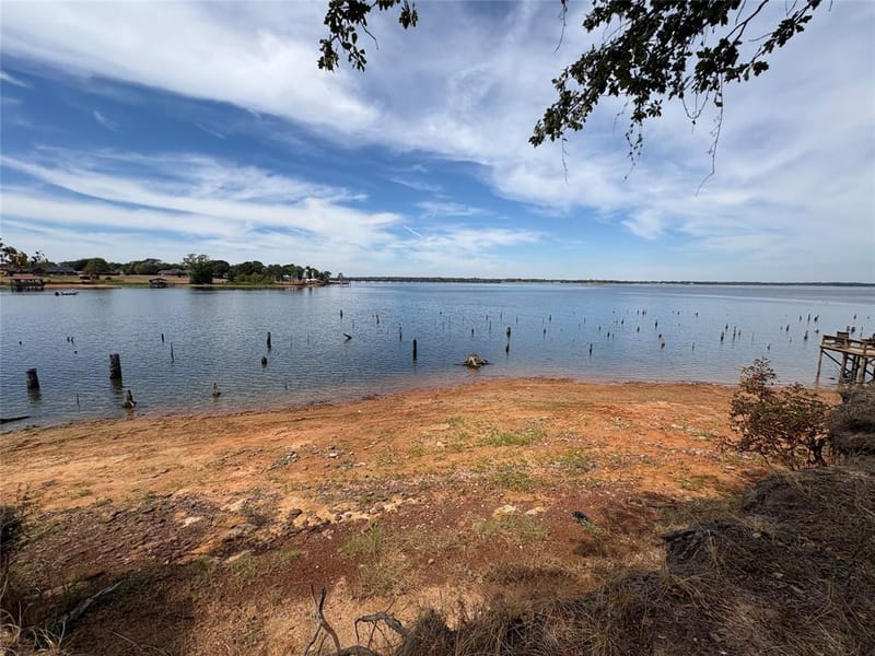 927 Indian Gap, Quitman TX 75783 - Photo 17