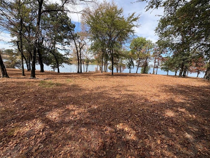 927 Indian Gap, Quitman TX 75783 - Photo 16