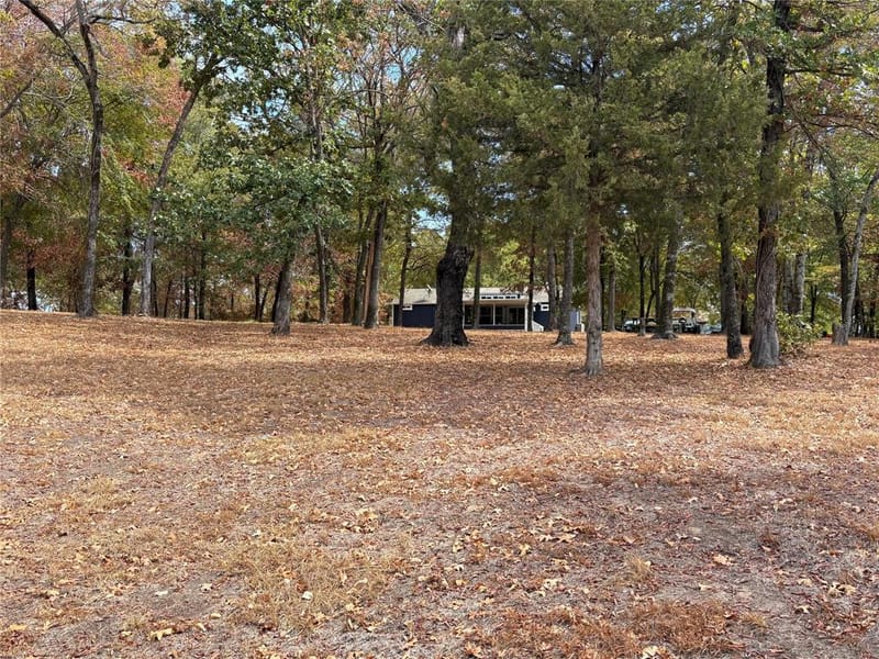927 Indian Gap, Quitman TX 75783 - Photo 12