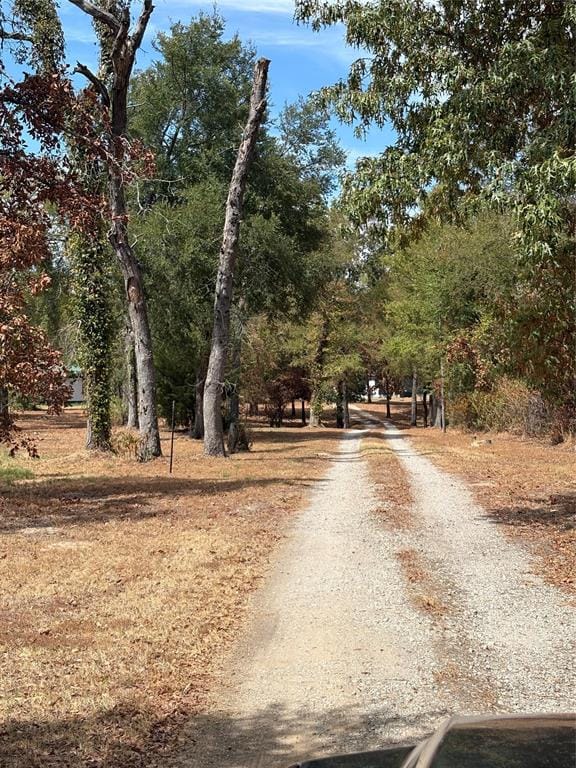 927 Indian Gap, Quitman TX 75783 - Photo 36