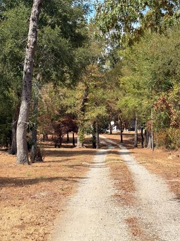 927 Indian Gap, Quitman TX 75783 - Photo 32