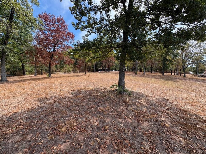 927 Indian Gap, Quitman TX 75783 - Photo 20